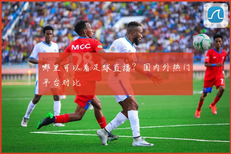 哪里可以看足球直播？国内外热门平台对比