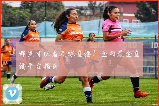 哪里可以看足球直播？全网最全直播平台指南