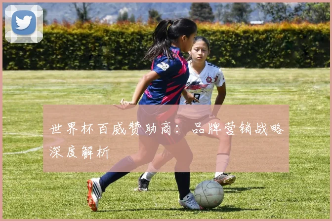 世界杯百威赞助商：品牌营销战略深度解析