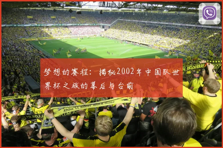 梦想的赛程：揭秘2002年中国队世界杯之旅的幕后与台前