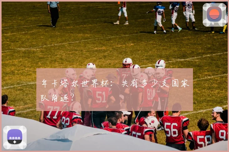 年卡塔尔世界杯：共有多少支国家队角逐？