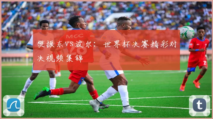 樊振东vs波尔：世界杯决赛精彩对决视频集锦