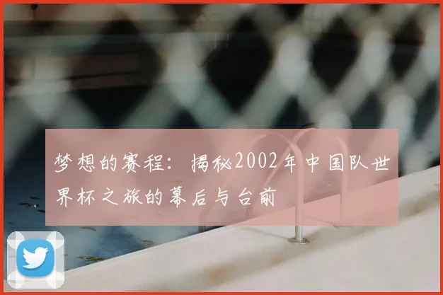 梦想的赛程：揭秘2002年中国队世界杯之旅的幕后与台前