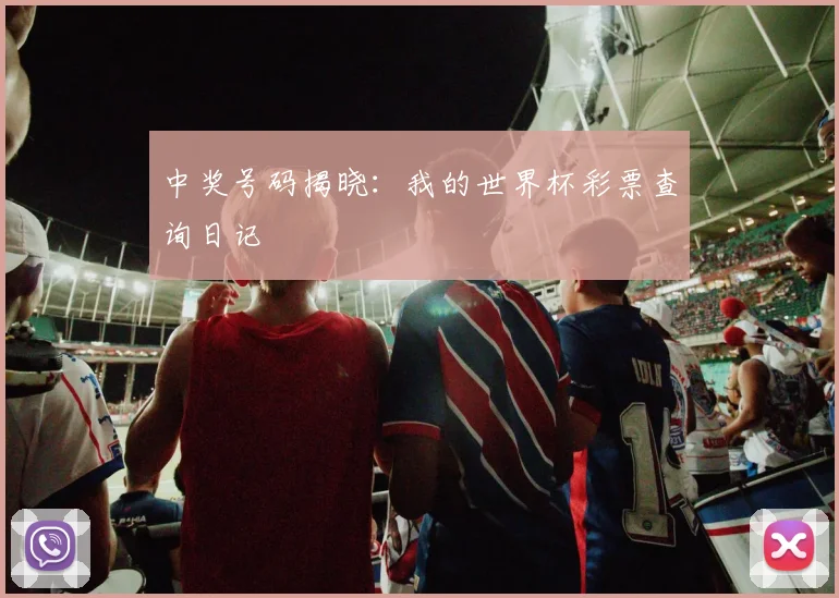 中奖号码揭晓：我的世界杯彩票查询日记