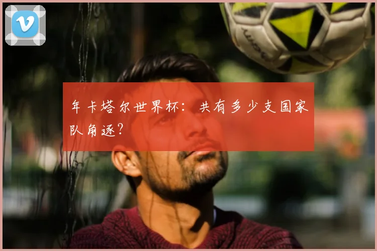 年卡塔尔世界杯：共有多少支国家队角逐？