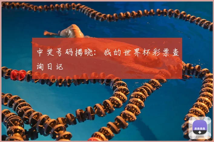 中奖号码揭晓：我的世界杯彩票查询日记