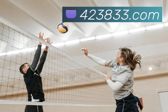 App Interface Preview