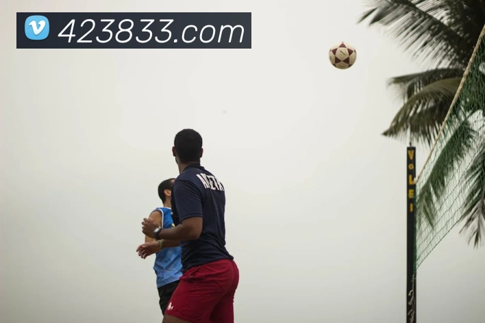 云开在线登录APP 封面图